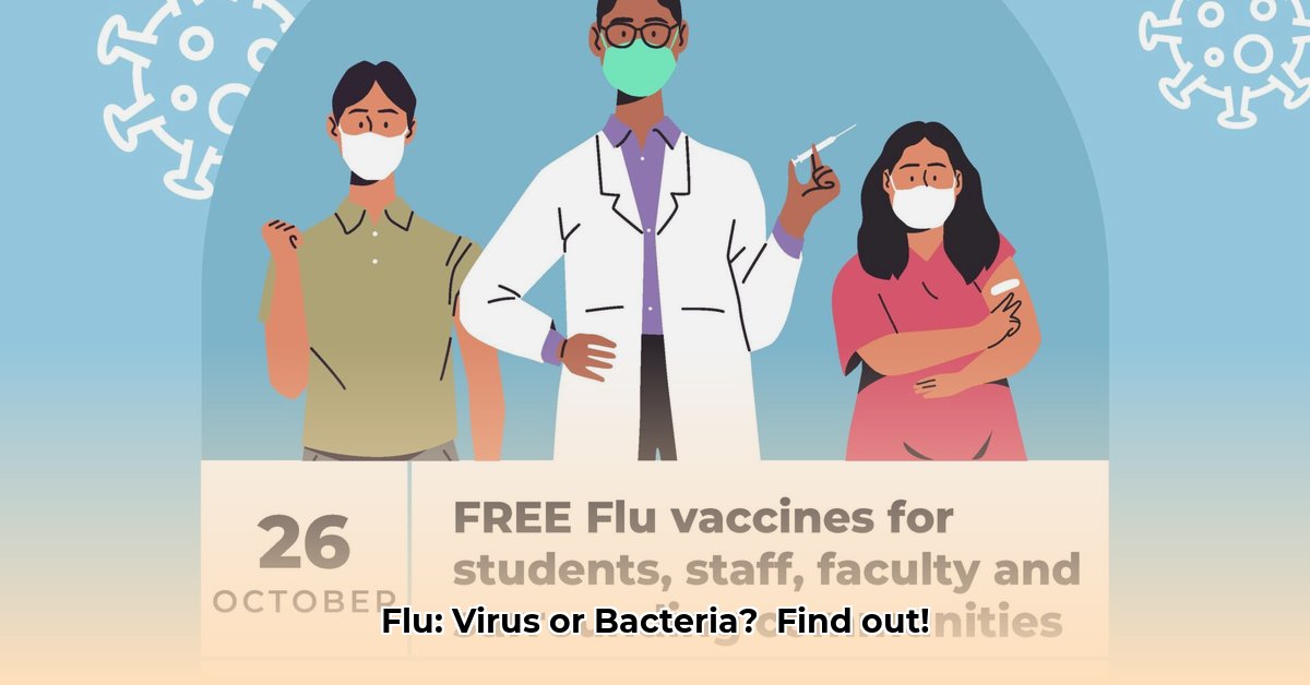 is-flu-a-virus-or-bacteria